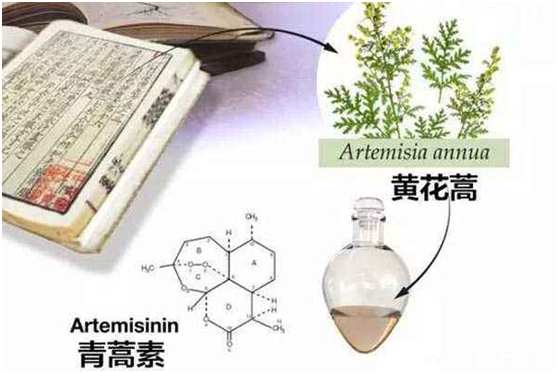 江南平台,：向中医药看齐，与世界共享中医药文化(图1)